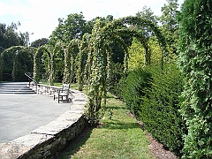 011 Longwood Gardens [2008 August 23]